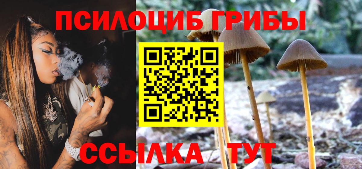 Родники  купить   Вход с VPN  Галлюциногенные грибы MAGIC MUSHROOMS 
